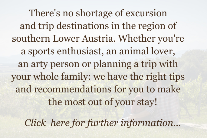 text_daytrips