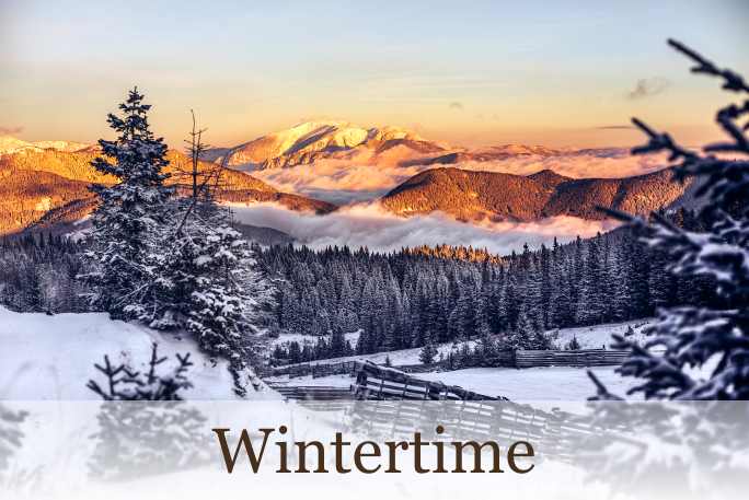 pic_winter
